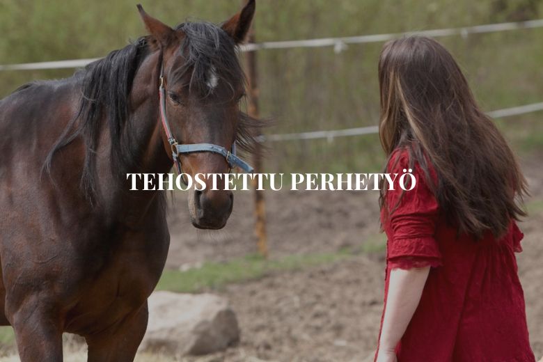 Tehostettu perhetyö