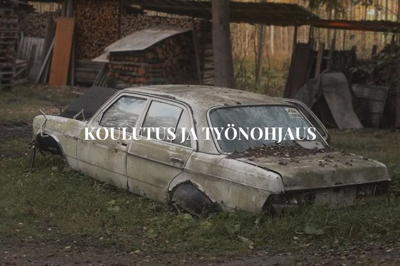 Koulutus ja työnohjaus adhd/autismi